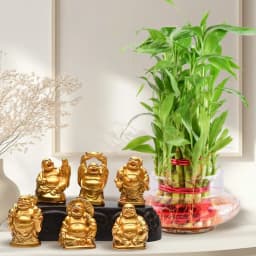 Serenity Bundle: Bamboo & Buddha Delight 1