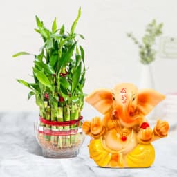 Fortune & Wisdom: Lucky Bamboo with Ganesh Statue 1