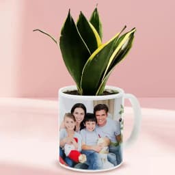 Customizable Nature Mug with Milt Sansevieria 1
