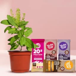 Wellness Wonders: Tulsi Plant & Protein Boost Pack 1