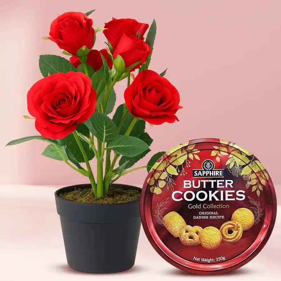 Red Rose Delight with Gourmet Cookies