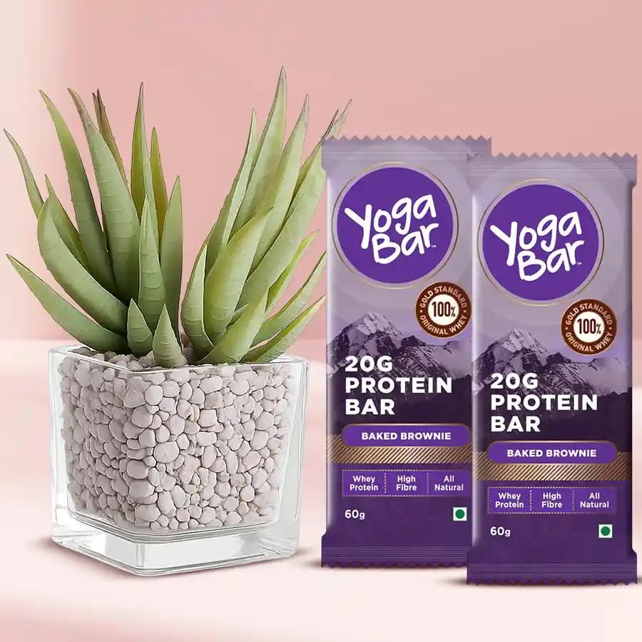 Wellness Duo: Aloe Vera & Nutritious Protein Bars