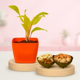 Breathe Easy & Snack Happy 1