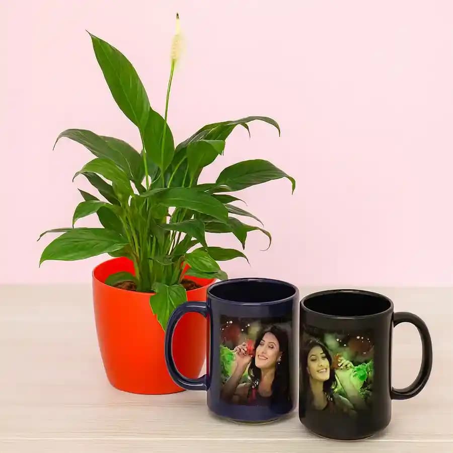 Tranquil Lily and Personalized Mug Set