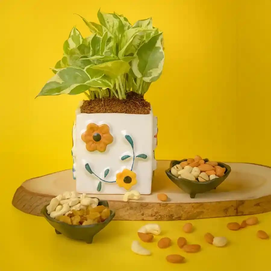 Nature's Essence and Gourmet Bliss Set