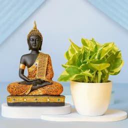 Zen Garden Essentials: Serenity Set 1