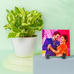 Bring Nature Indoors with Pothos & Personalized Photo Gift 1