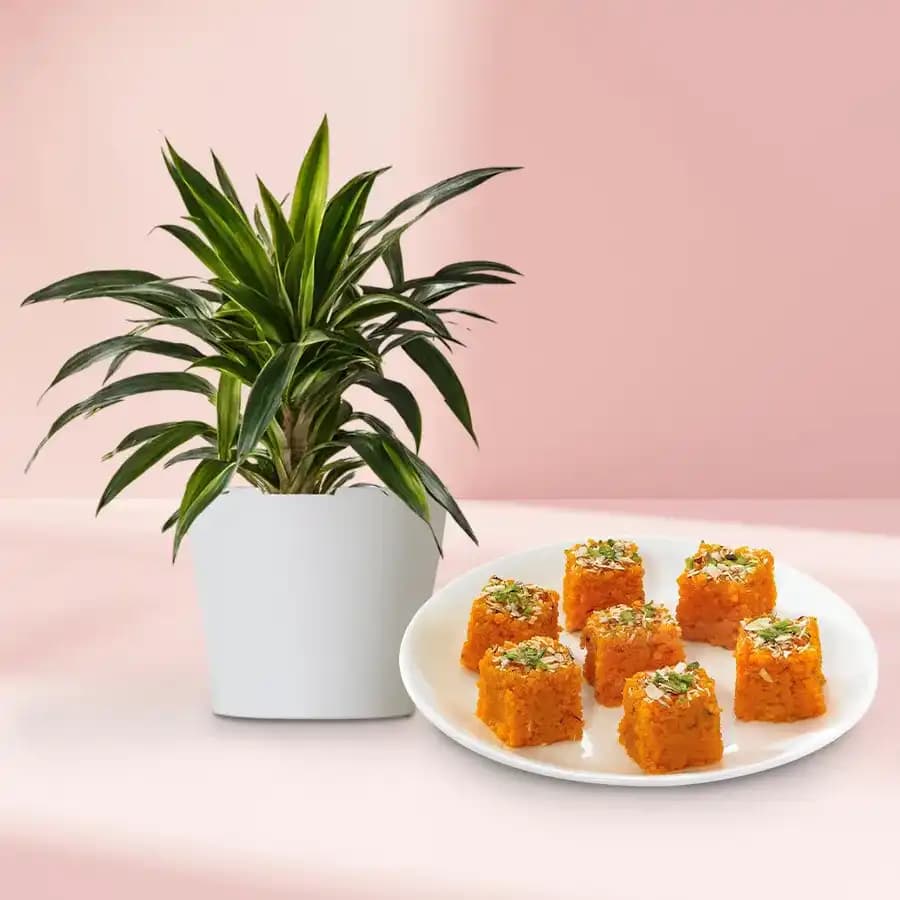 Charming Nature & Sweet Indulgence