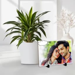 Elegant Dracaena Plant with Custom Memory Tile 1