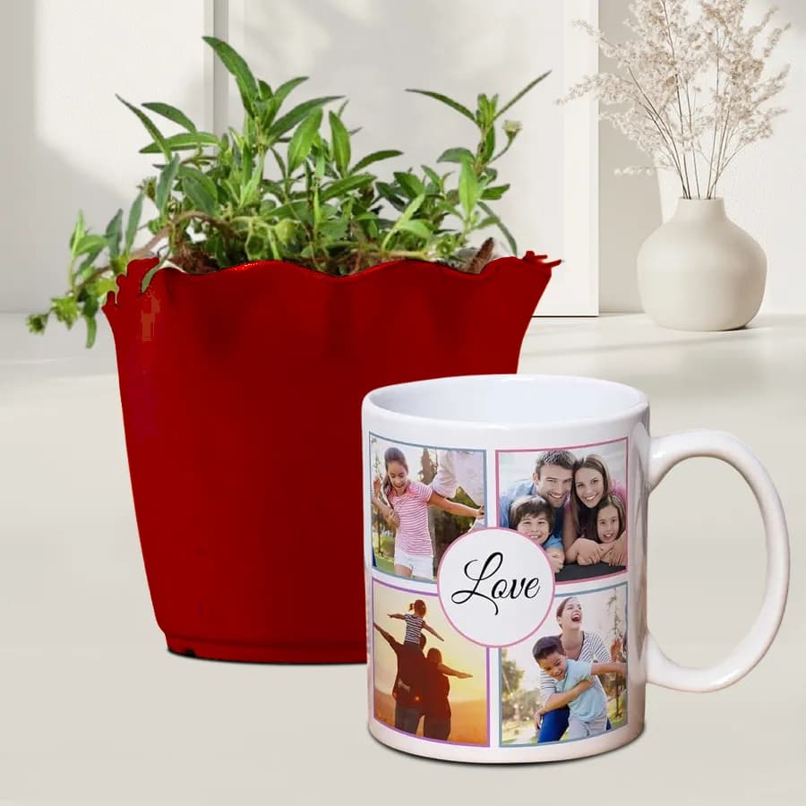 Personalized Mug & Vringraj Plant Gift Set