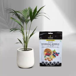 Elegant Palm & Crunchy Berry Combo 1