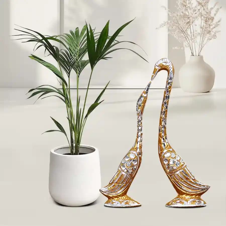 Charming Green Duo: Love Birds with Kentia Palm