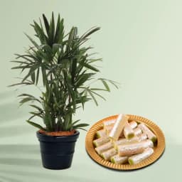 Serene Green with Nutty Delights 1