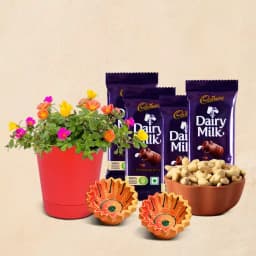 Colorful Portulaca Delight Set 1