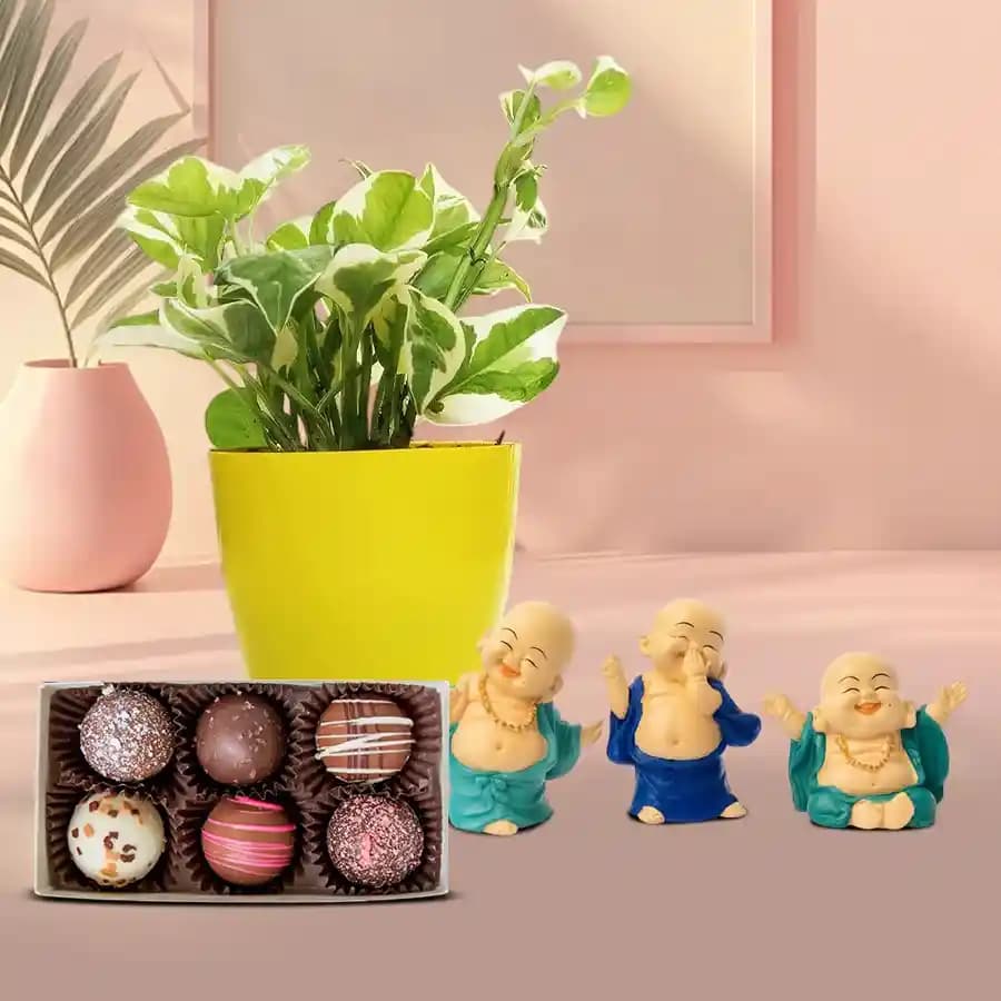 Essence of Prosperity: Money Plant and Buddha Collection