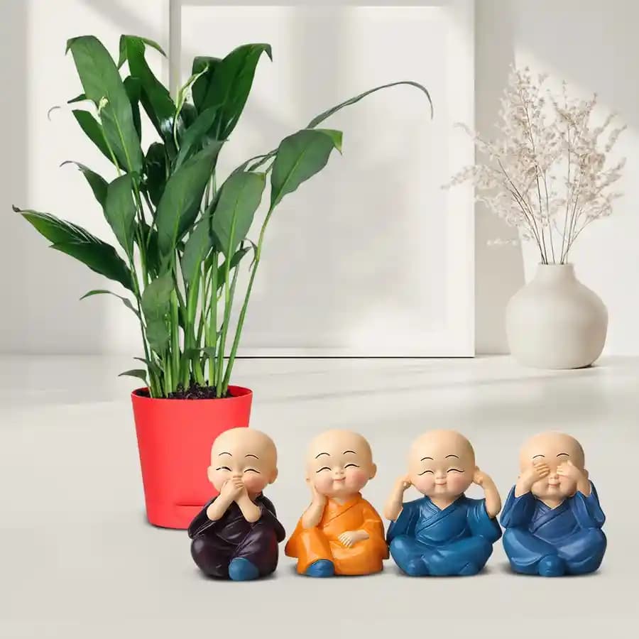 Soothing Peace Lily & Joyful Buddha Duo