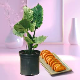 Exquisite Greens and Sweet Delights 1