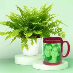 Customizable Fern & Ceramic Mug Gift Set 1