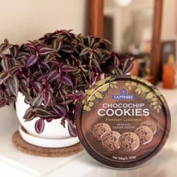 Indoor Delight: Green Plant & Sweet Treats Set 1