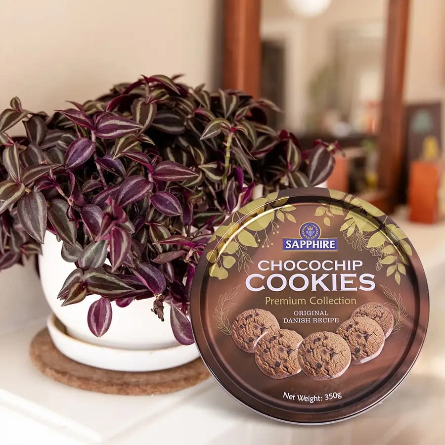 Indoor Delight: Green Plant & Sweet Treats Set