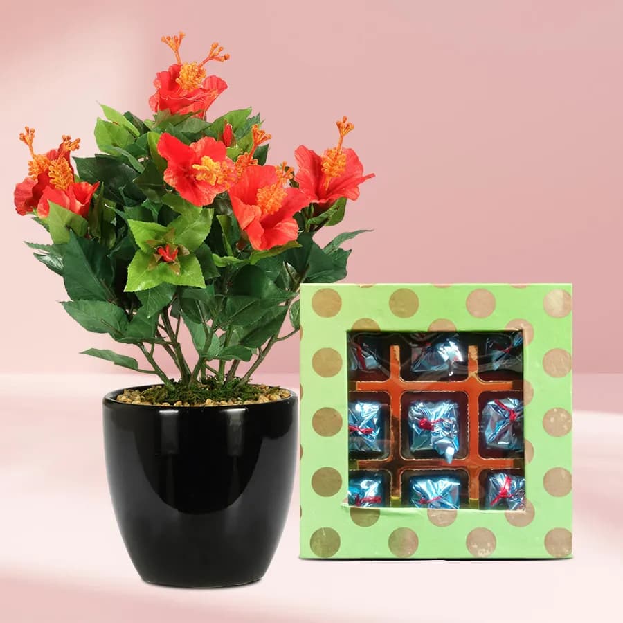 Hibiscus Delight with Gourmet Chocolates