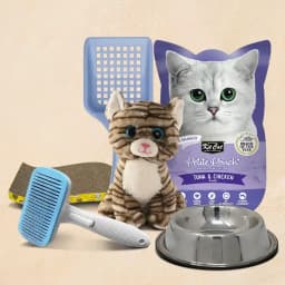 Kittens' Joyful Care Package 1