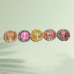 Radiant Silk Ceremony Attire Set 1