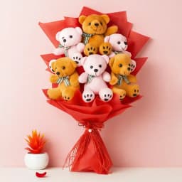 Cuddle Buddies Galore 1