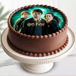 Ecstatic Harry Potter Cake Delight 1