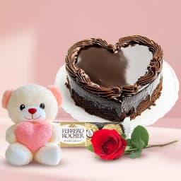 Chocolate Cake with Single Rose Teddy N Ferrero Rocher 1
