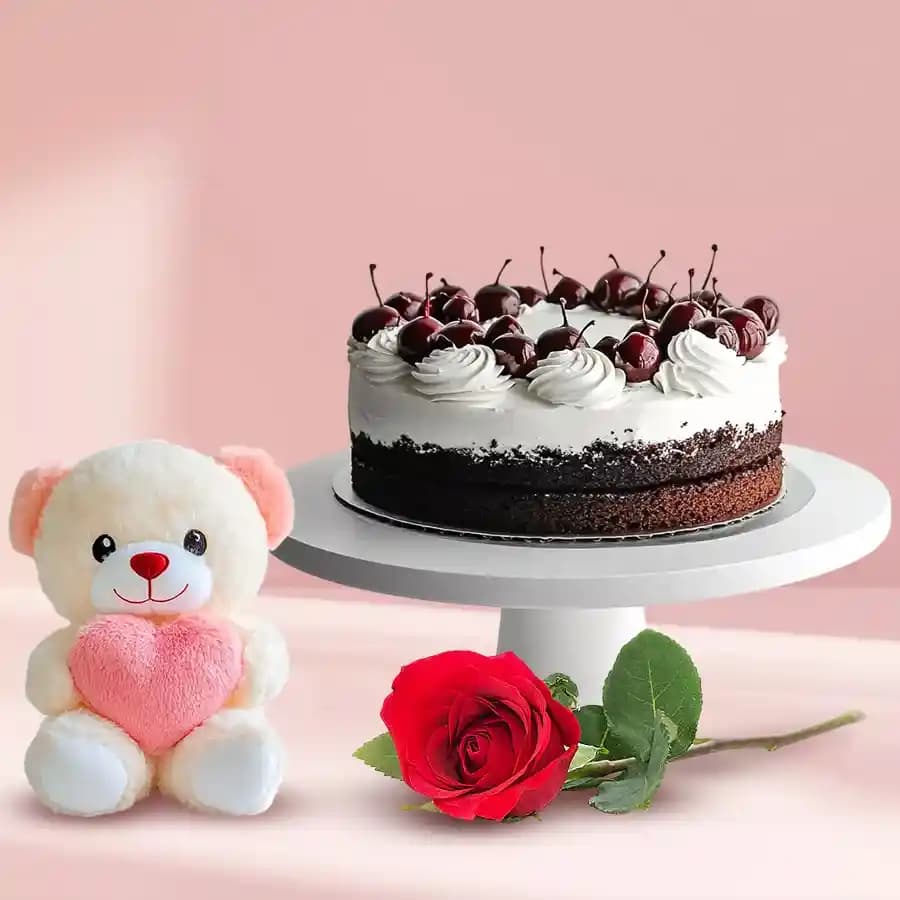 Single Red Rose with Teddy N Black Forest Cake