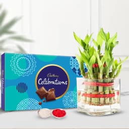 2 Tier Bamboo Plant N Celebrations Pack 1