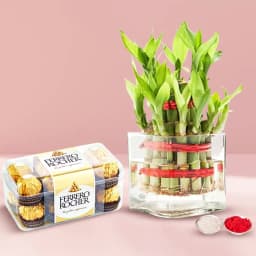 2 Tier Bamboo Plant N Ferrero Rocher Chocolates 1