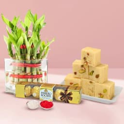Bamboo Plant with Ferrero Rocher Chocos N Soan Papdi 1