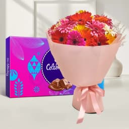 Full of Love Gerbera Bouquet with Cadbury Celebration 1
