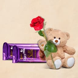 Love Combo of Cadbury Chocolate with Red Rose N Cute Teddy 1