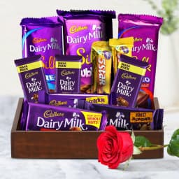 Marvelous Chocolate Gift Basket with Single Red Rose 1