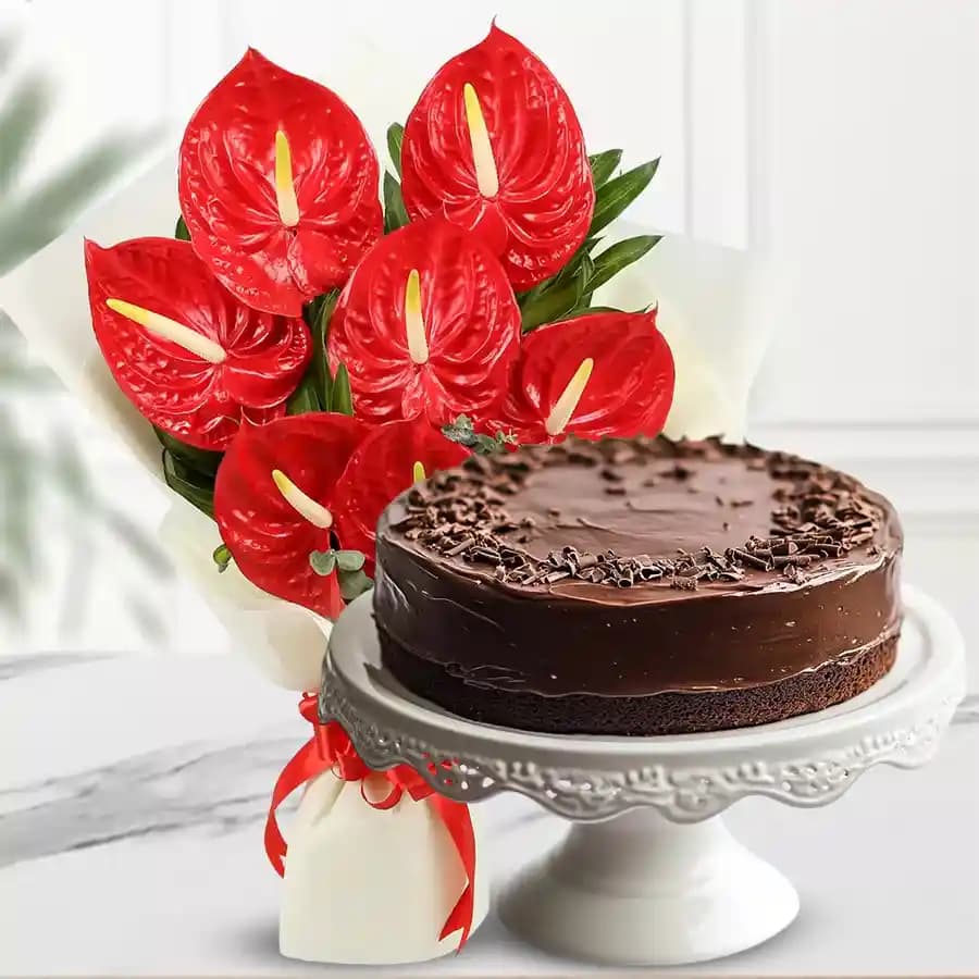 Lovely Combo of Anthurium Bouquet with Chocolate Cake