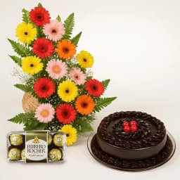 Lovely Basket of 25 Mixed Gerberas with Chocolaty Treat 1