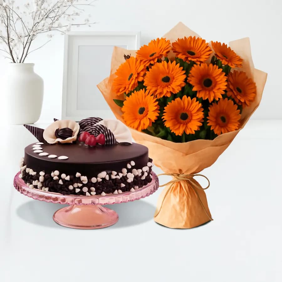 Vibrancy of Orange Gerberas Bouquet with Chocolate Cake