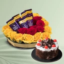 Fabulous Combo of Mixed Roses n Cadbury with Black Forest Cake 1