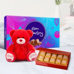 Bikanervala Mewa Bite Orange with Teddy N Cadbury Celebration 1