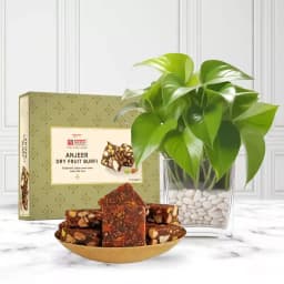 Delightful Duo: Gourmet Dates and Greenery 1