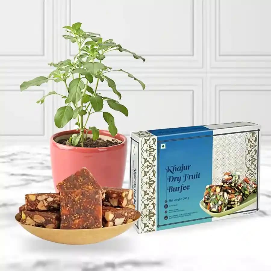 Kandoi's Delightful Khajur Anjeer & Sacred Tulsi Gift Set