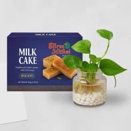 Milk Cake from Shree Mithai with Money Plant in Glass Pot 1