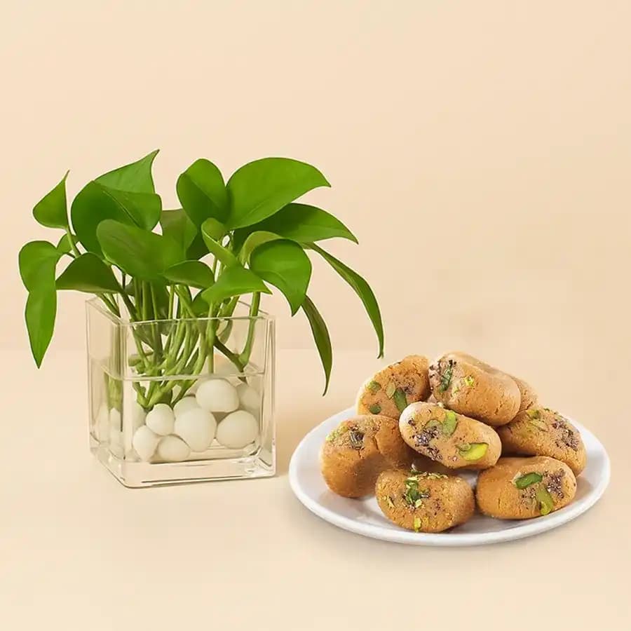 Delightful Mathura Peda & Green Bliss