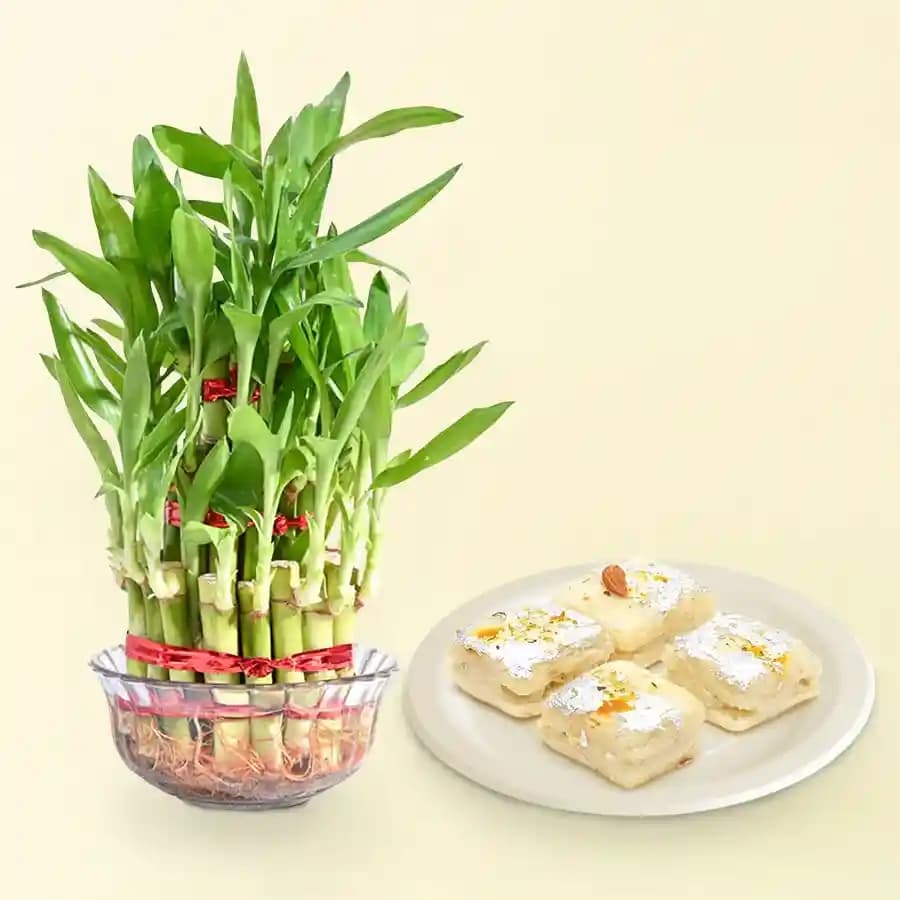 Sweet Delights with Lucky Bamboo