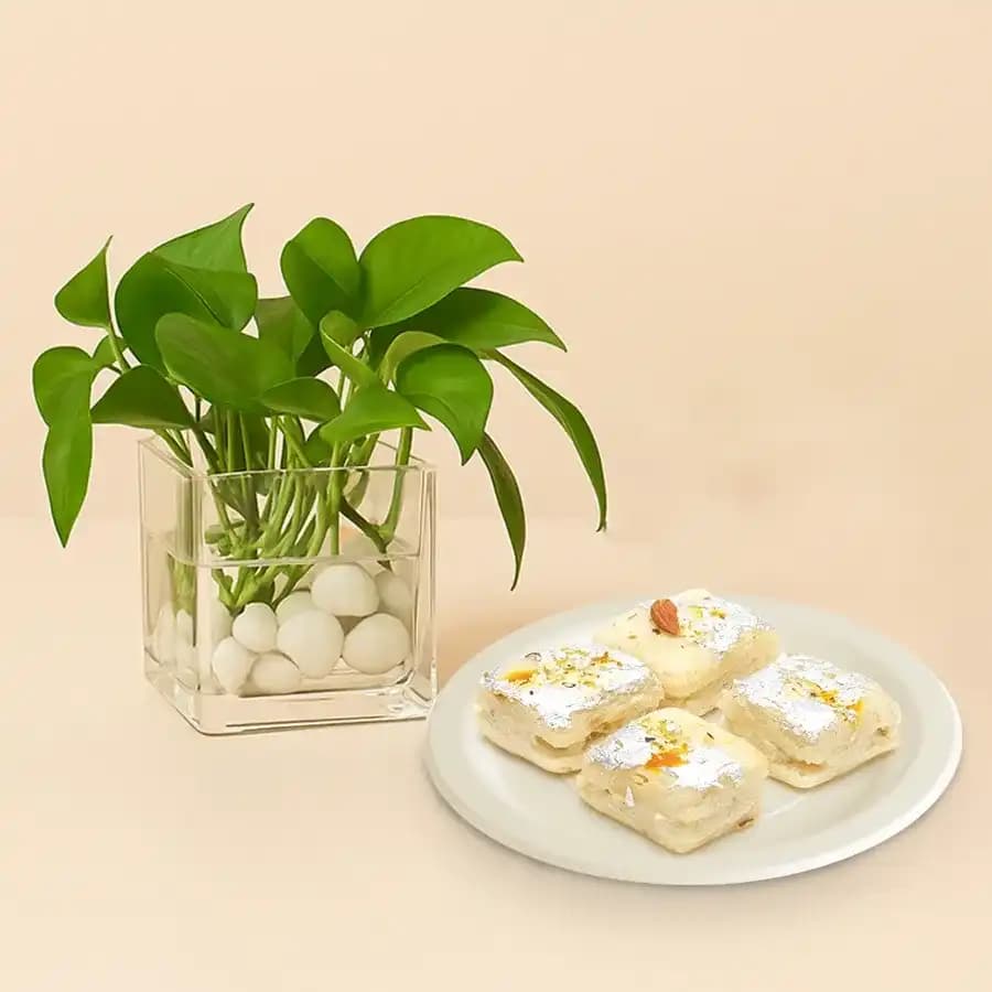 Delightful Malai Treats with Green Growth