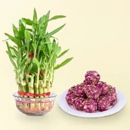 Blissful Bamboo & Almond Delight 1