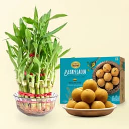 Prosperity Bundle: Sweet Laddus & Lucky Bamboo 1